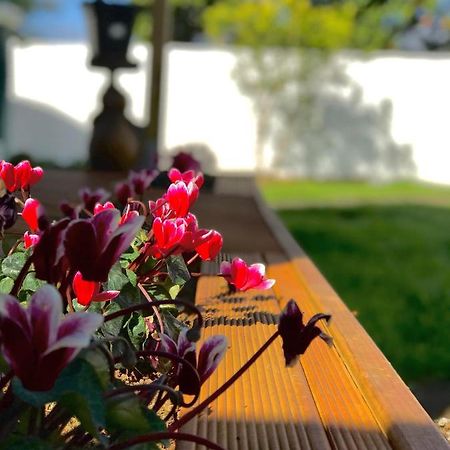Отель Onehunga Garden Tinyhouse With Parking Окленд Экстерьер фото