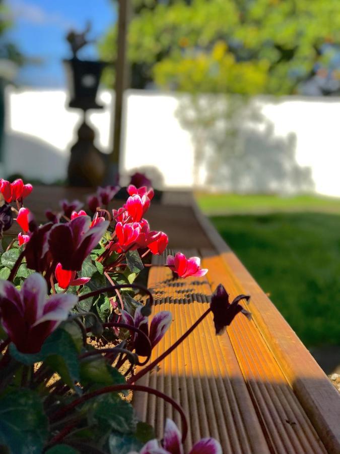 Отель Onehunga Garden Tinyhouse With Parking Окленд Экстерьер фото